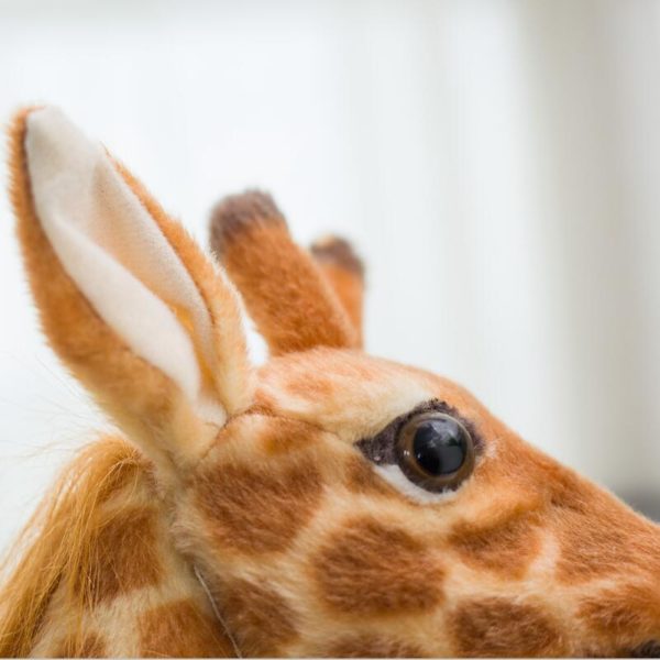 Luxusní dětská velká plyšová Žirafa - 80cm