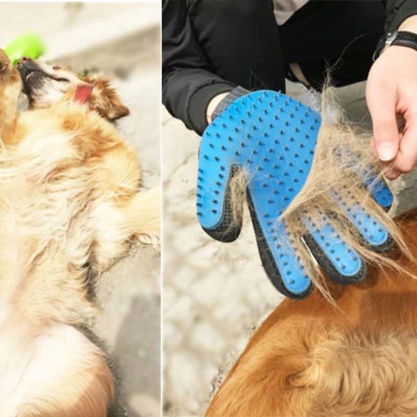 Rukavice na vyčesávání chlupů | Kočka, Pes - 1-ks, Modra-prava-ruka