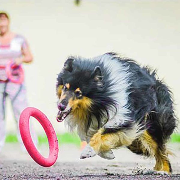 Létající disk na hraní pro psa - Diameter-about-18cm, Red