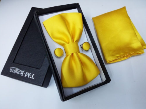 Luxusní motýlek s kapesníkem Gentle - Yellow