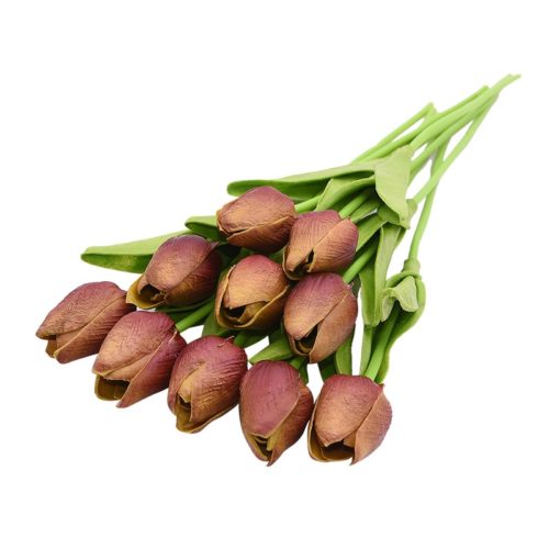 Tulipánky 10 kusů - S