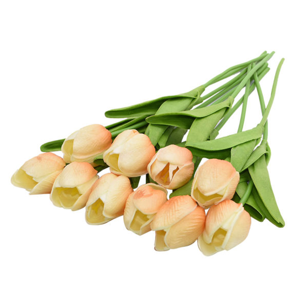 Tulipánky 10 kusů - S